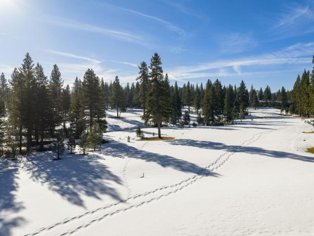 Townhouse for sale in Truckee, California