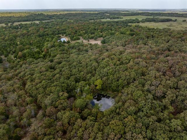 Land for sale in Mason, Okemah