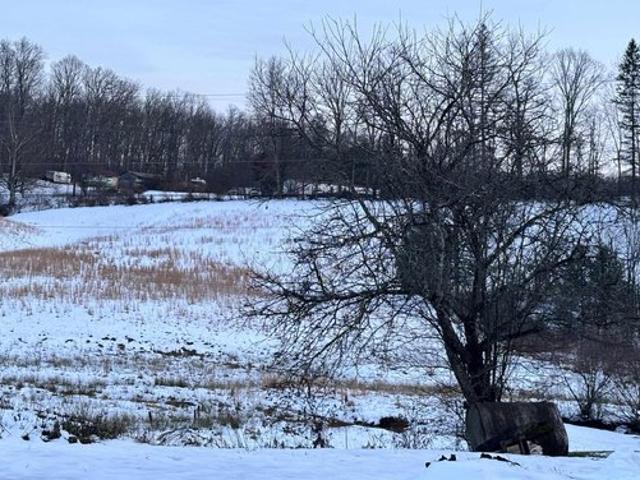 Farm for sale in Montrose, West Virginia
