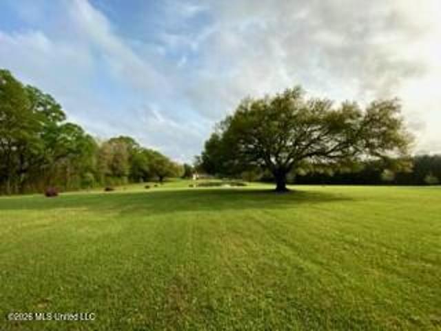 Land for sale in Osyka, Mississippi