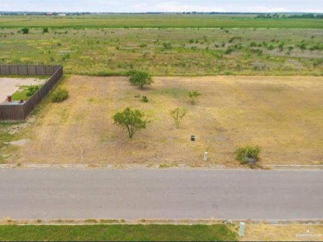 Land for sale in Raymondville, Willacy County