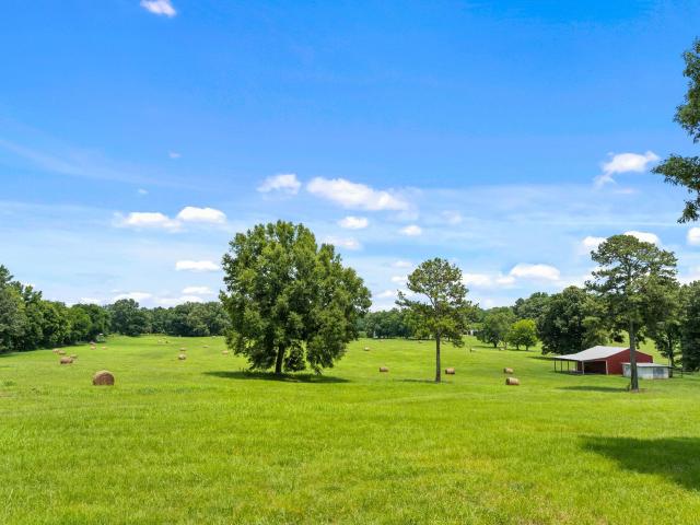 Land for sale in Leighton, Alabama