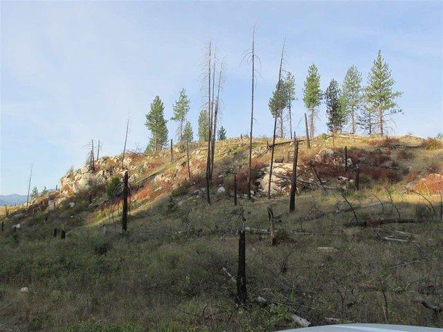 Land for sale in Colville, Washington