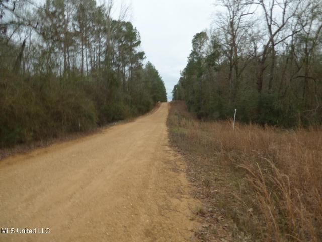 Land for sale in Magnolia, Mississippi