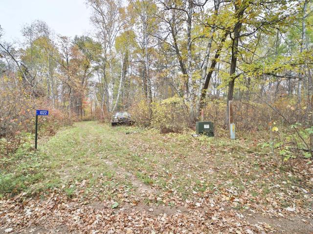 Land for sale in Pine River, Minnesota