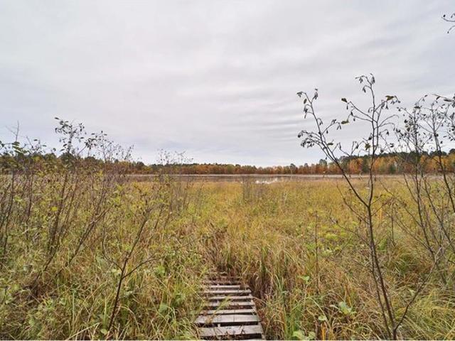 Land for sale in Pine River, Minnesota