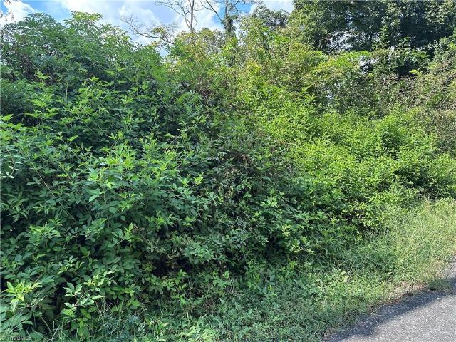 Land for sale in Davidson, North Carolina