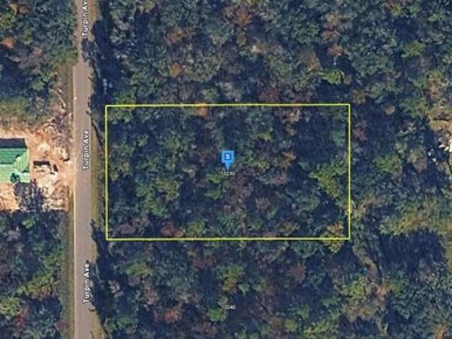 Land for sale in Saint Johns, Florida