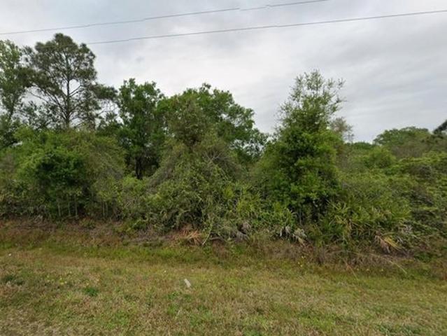 Land for sale in Okeechobee, Florida