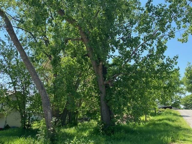 Land for sale in Fox Lake, Illinois