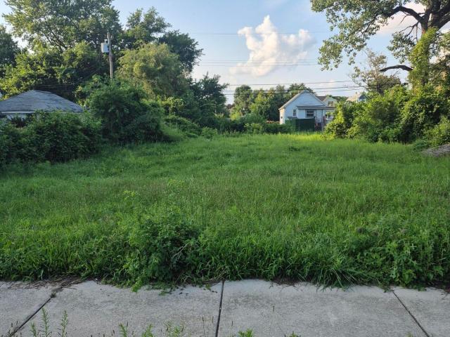 Land for sale in Hammond, Lake County