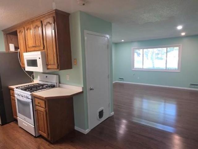 House for sale in Thompson Riverview Terrace, Coon Rapids