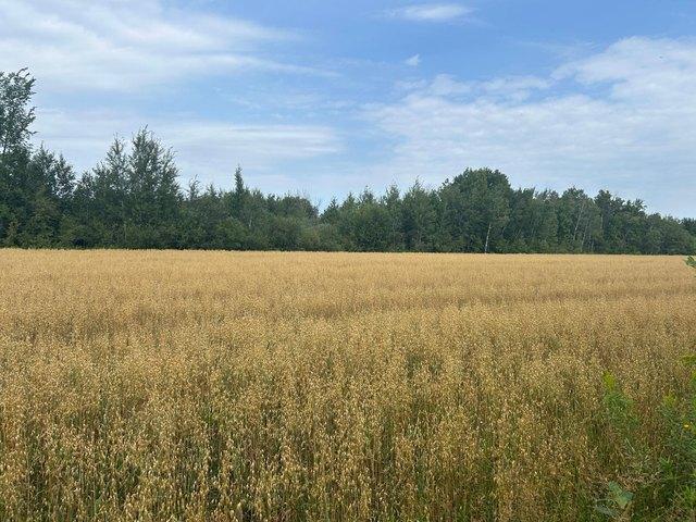 Farm for sale in Strathcona, Minnesota