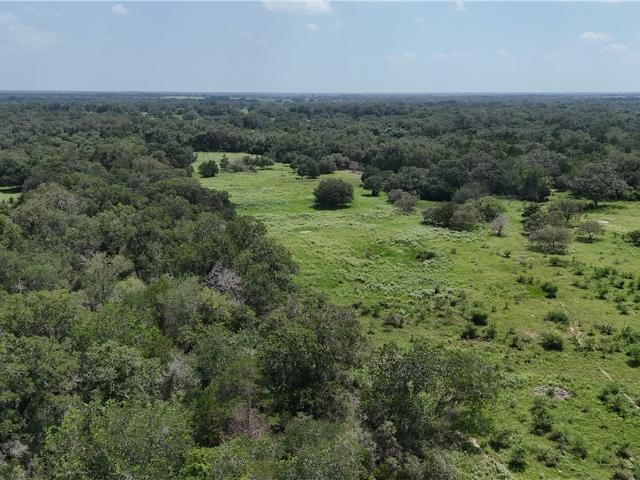 Land for sale in Yoakum, Texas
