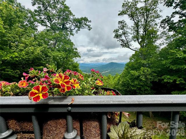 House for sale in Spruce Pine, North Carolina