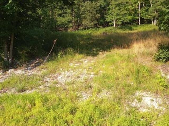 Land for sale in Buckhannon, West Virginia