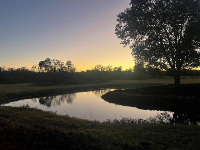 Land for sale in Chappell Hill, Texas