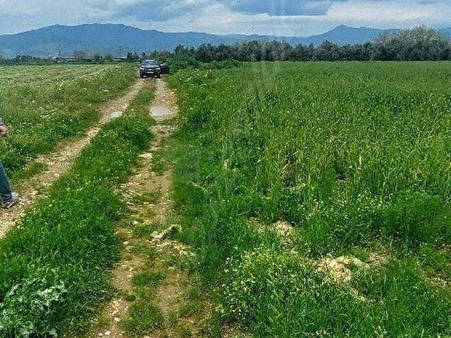 Tire, İzmir içerisinde satılık Arsa