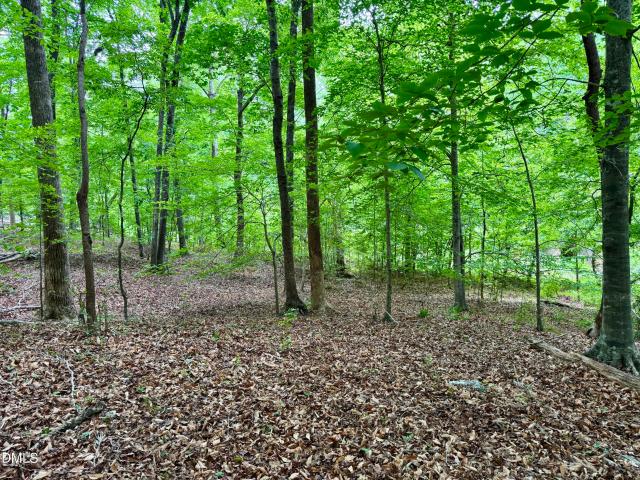 Land for sale in Chapel Hill, North Carolina