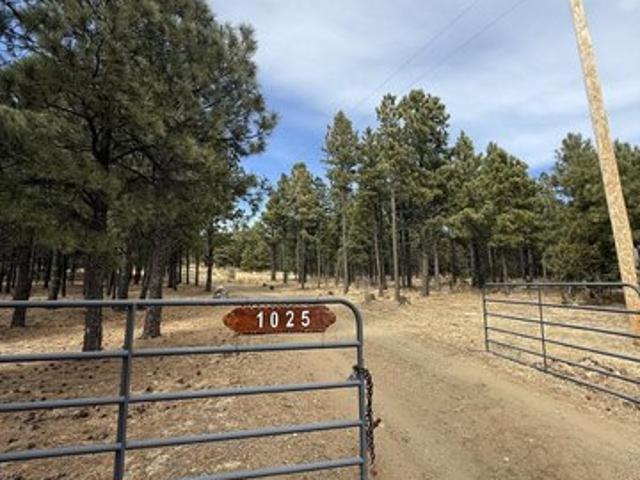 House for sale in Mora, New Mexico