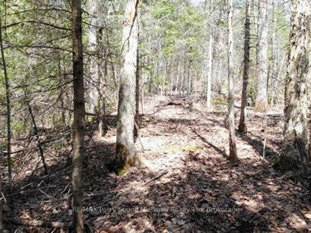 Land for sale in Whitestone, Ontario