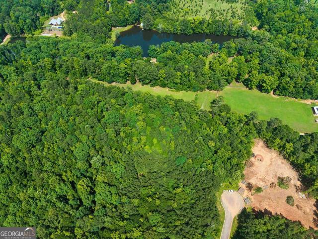 Land for sale in Spalding, Georgia