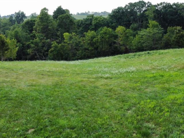 Land for sale in Owenton, Kentucky