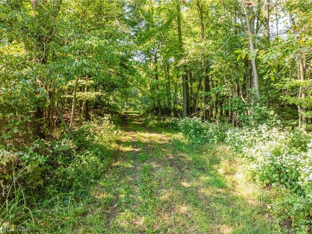 Land for sale in Fiat, Baltic