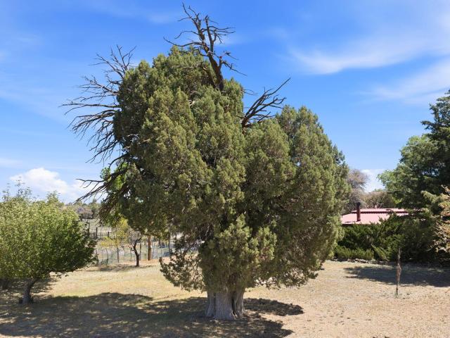 House for sale in Arizona