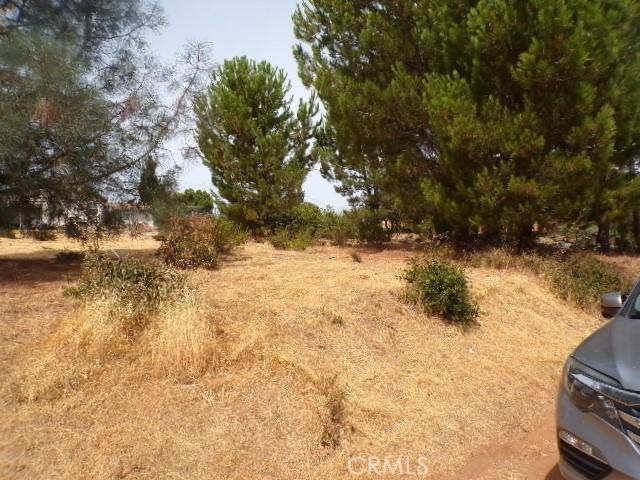 Land for sale in Lake, California