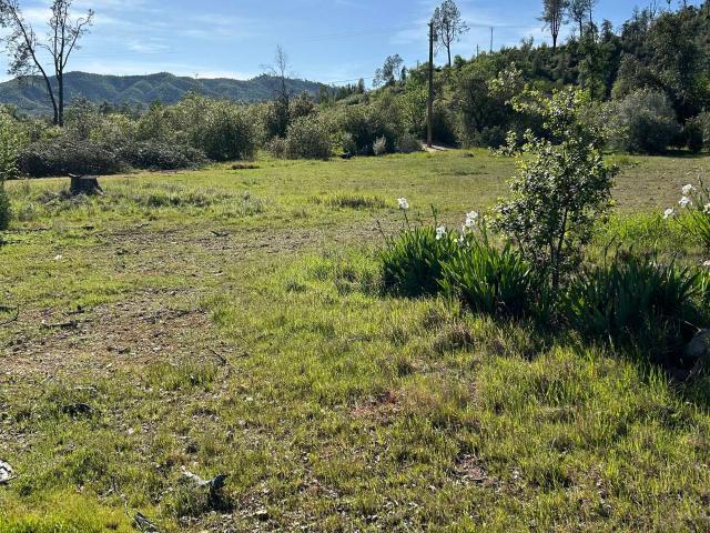 Land for sale in Shasta, California