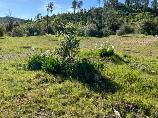 Land for sale in Shasta, California