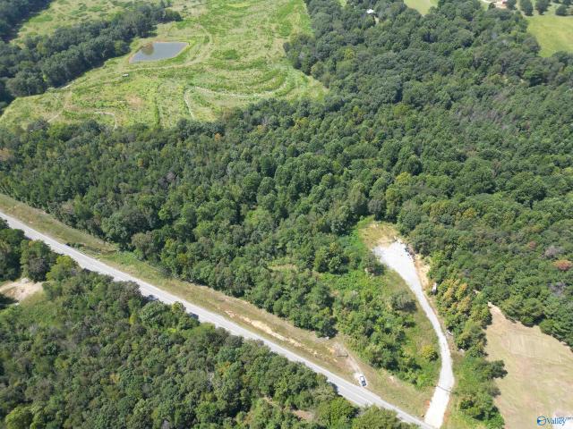 Land for sale in Town Creek, Alabama