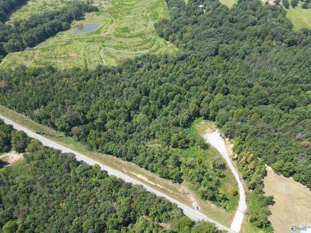 Land for sale in Town Creek, Alabama