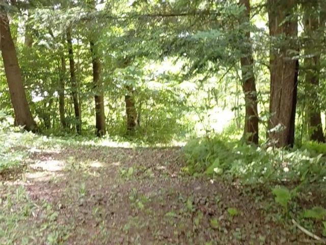 Land for sale in Oneida, New York