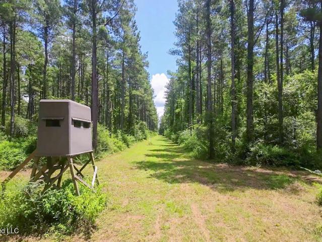 Land for sale in Mount Olive, Mississippi