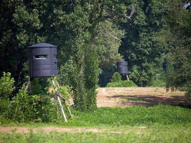 Land for sale in Mississippi