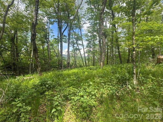Land for sale in Mars Hill, North Carolina