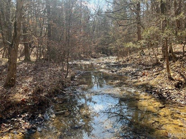 Land for sale in Mineral Point, Missouri
