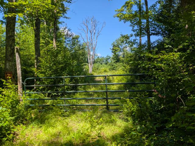 Land for sale in Franklin, New York