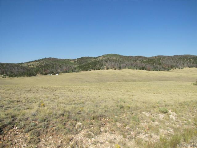 Land for sale in Hartsel, Colorado