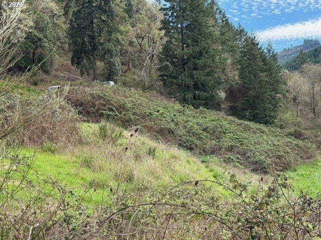 Land for sale in Oregonia