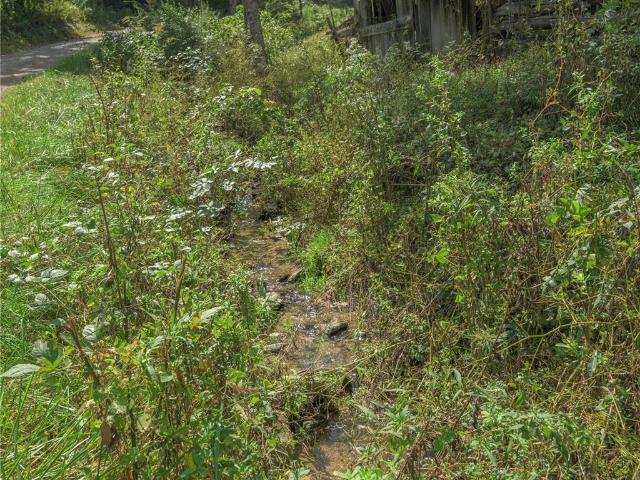 Land for sale in Waynesville, Haywood County