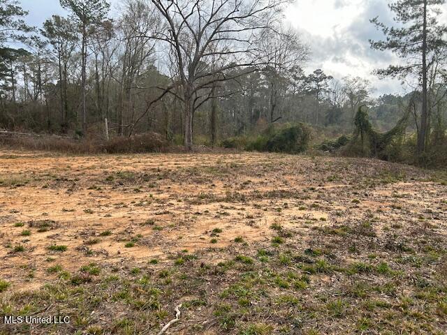 Land for sale in Mccomb, Mississippi