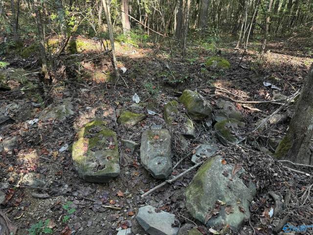 Land for sale in Bear Creek, Alabama