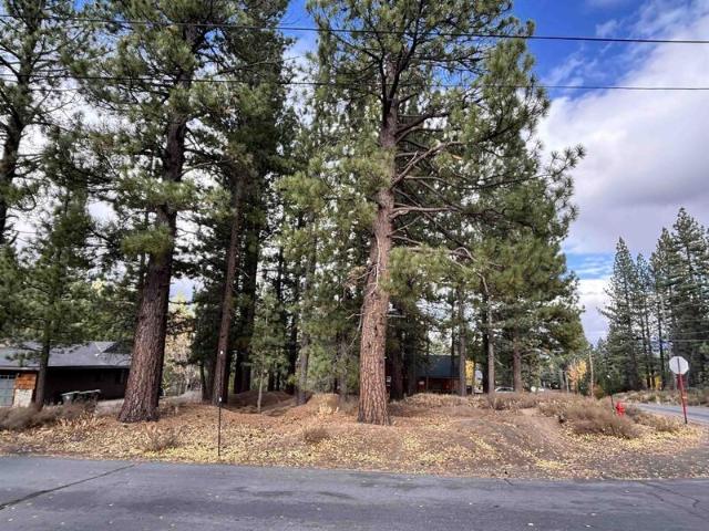 Land for sale in Truckee