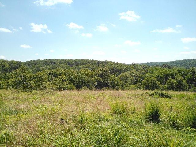 Farm for sale in Pineville, Missouri
