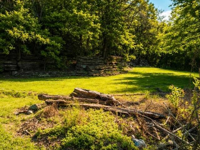 Farm for sale in Pineville, Missouri