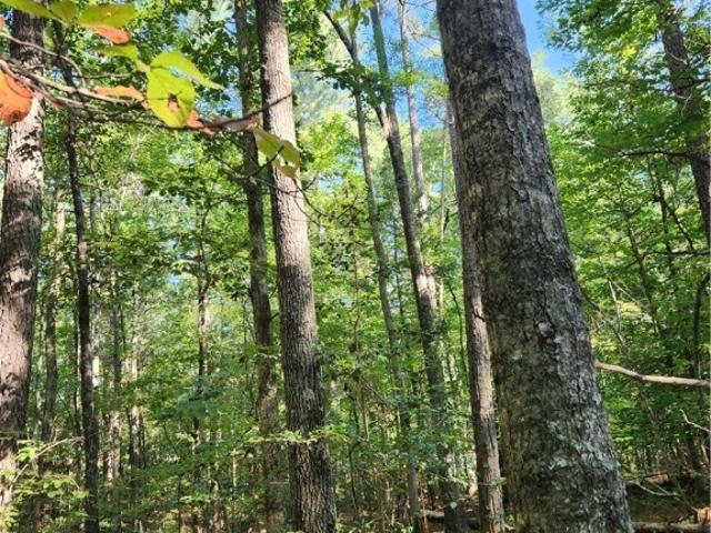 Land for sale in Virginia