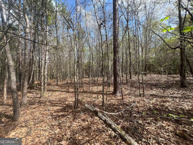 Land for sale in Lafayette, Alabama